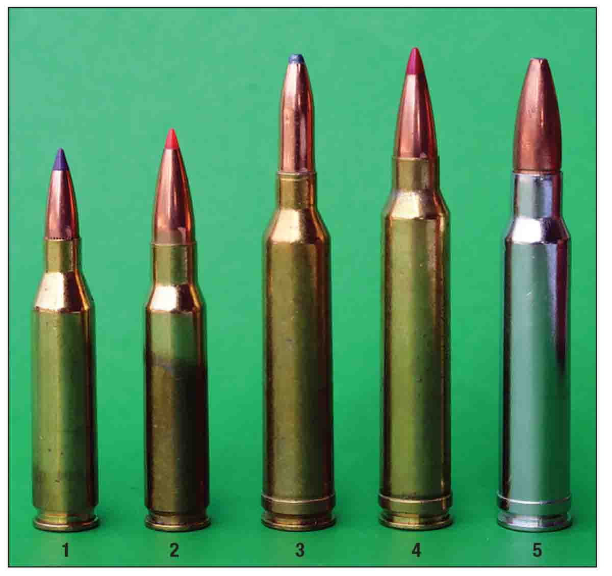 Winchester developed several modern cartridges that were first offered in the Model 70: (1) 243 Winchester, (2) 308 Winchester, (3) 264, (4) 300, (5) 338 and (not shown) the 458 Winchester Magnums. These cartridges were ahead of their time and remain widely popular today.